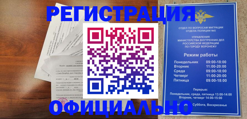 прописка поиск в Елизово